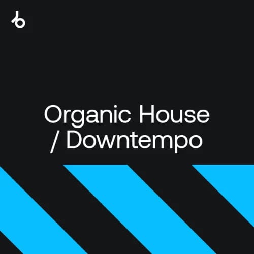 Beatport Hype Top 100 Organic House & Downtempo September 2024